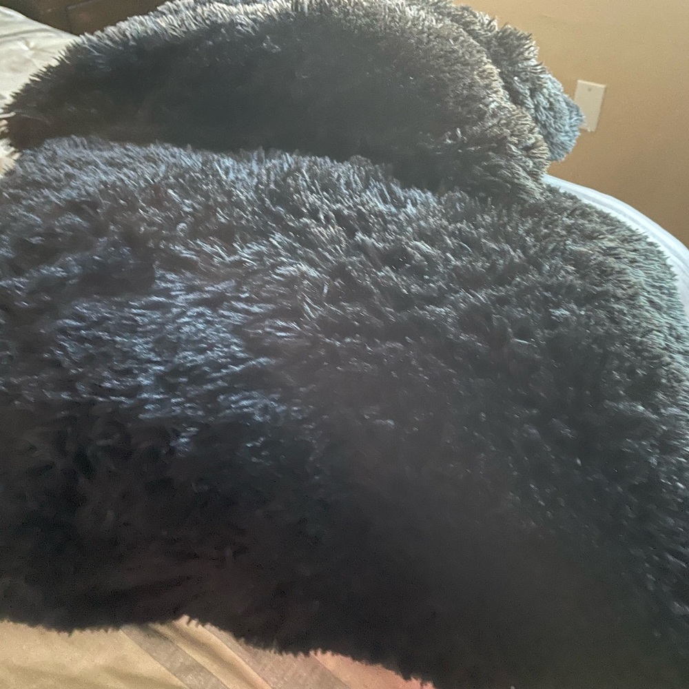 2 18 x18 Black  Fluffy Pillows. Smoke and Pet Free.